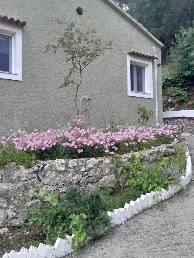 Manteshouse Villa Paleokastritsa Exteriör bild